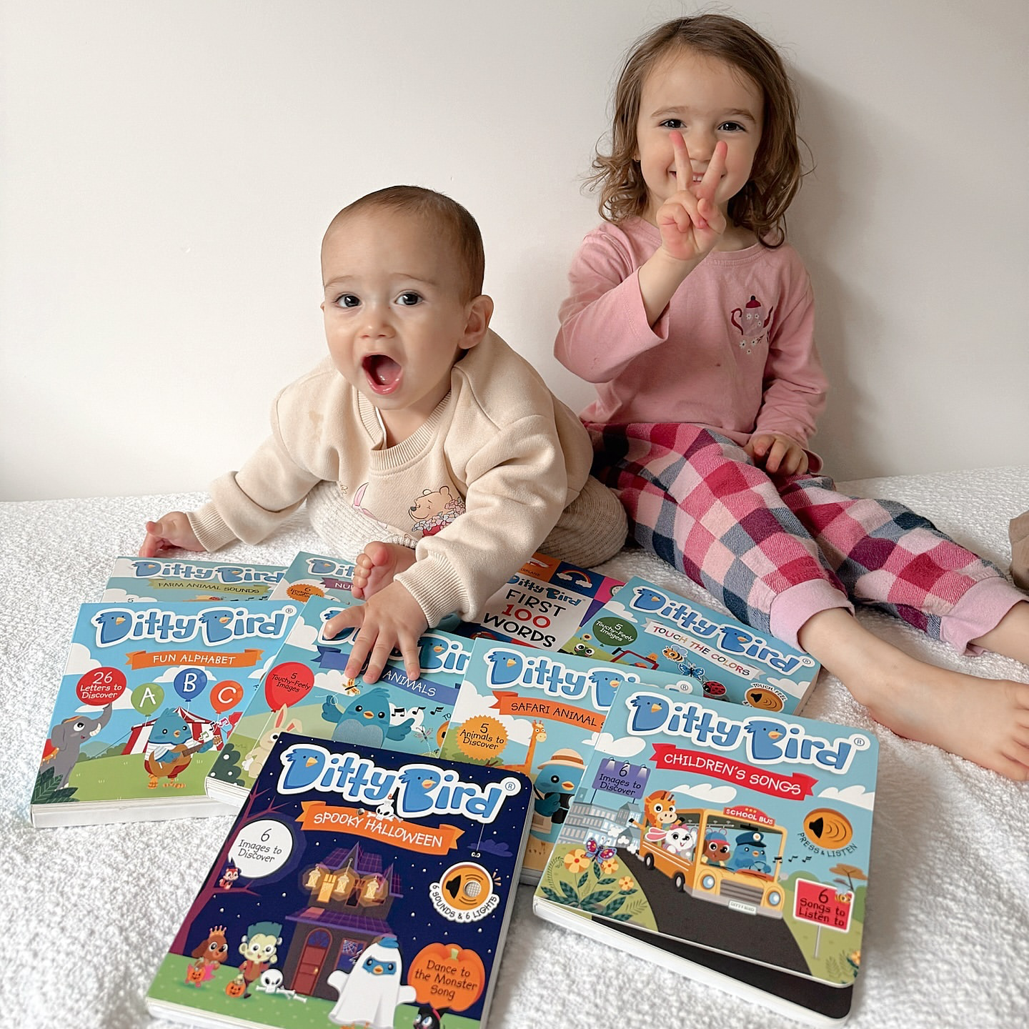 Ditty Bird Book: Spooky Halloween - Best Toys Halloween