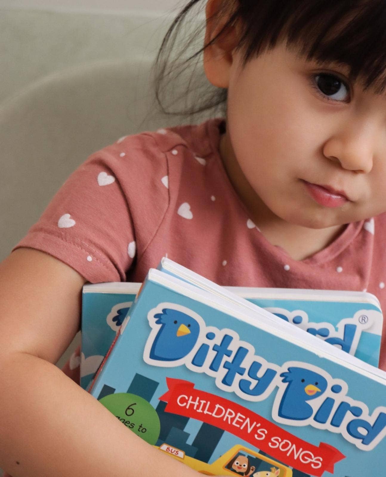 Ditty Bird Sound Book: Children’s Songs Ages 1–3 –BESTSELLER