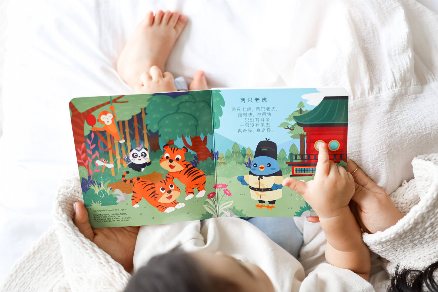 Ditty Bird Bilingual Book |  Learning Chinese Kid's Songs 儿歌