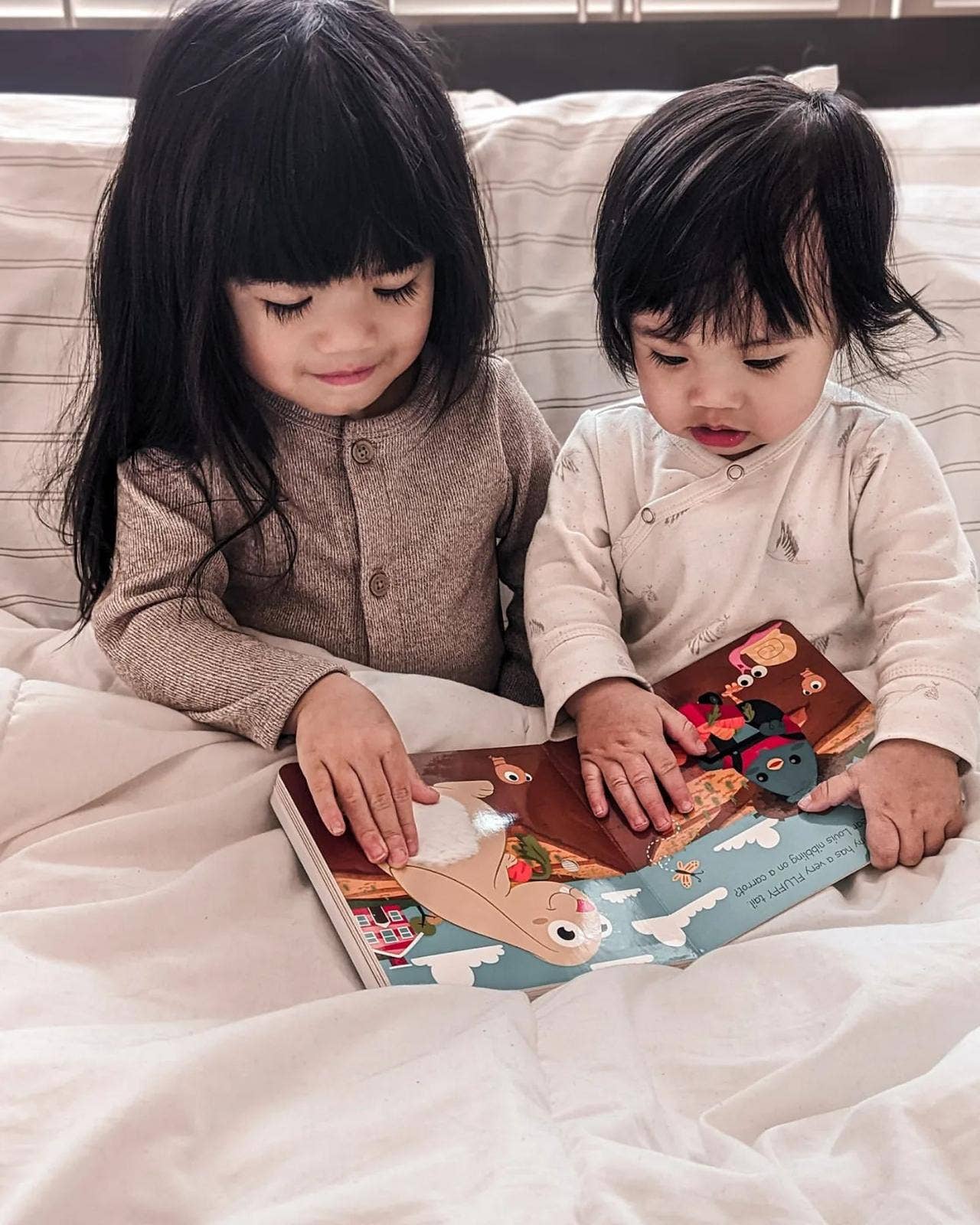 Ditty Bird First Sensory Book Montessori Method Cute Animals