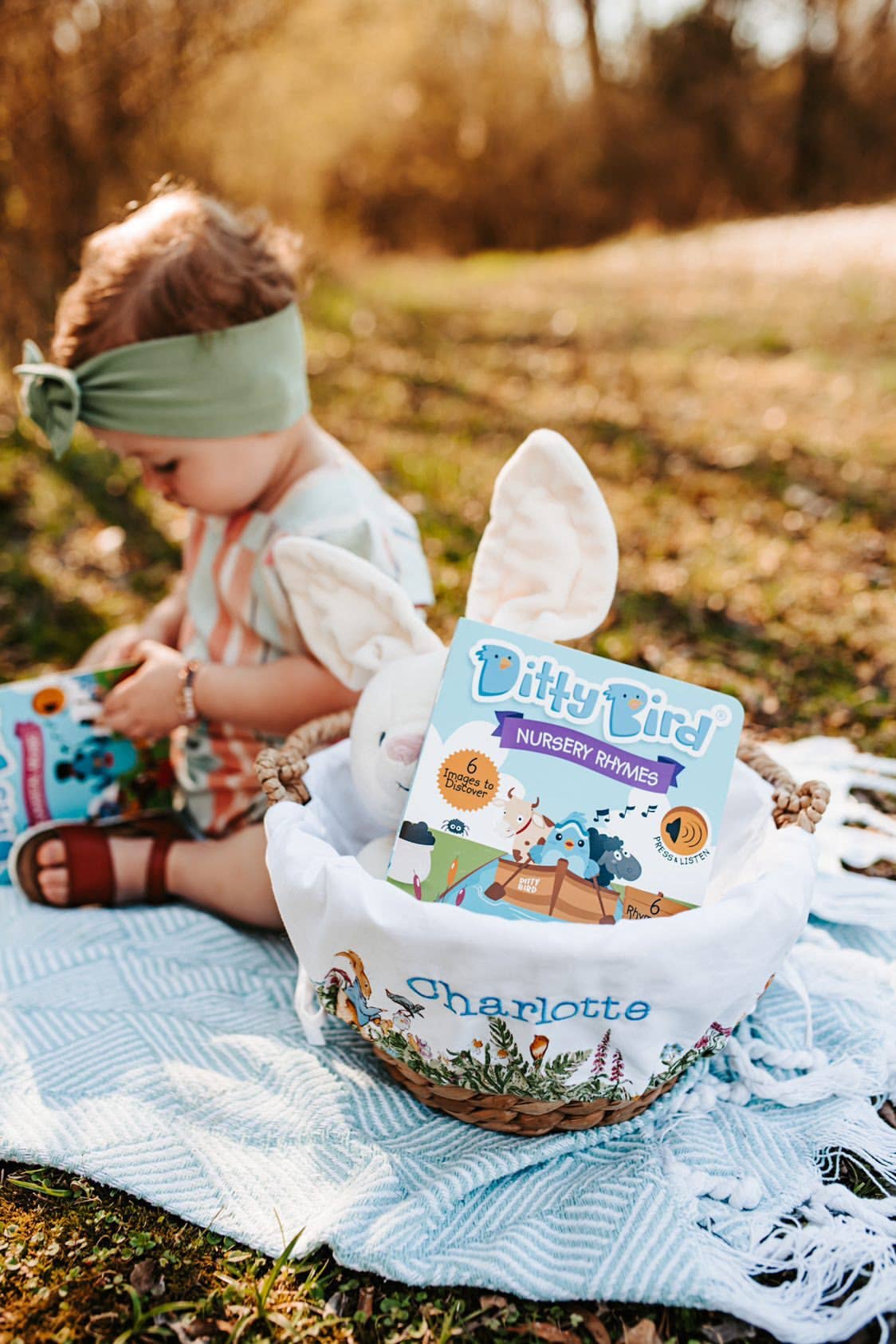 Ditty Bird Sound Book:Fun Nursery Rhymes for Kids BESTSELLER (Copy)