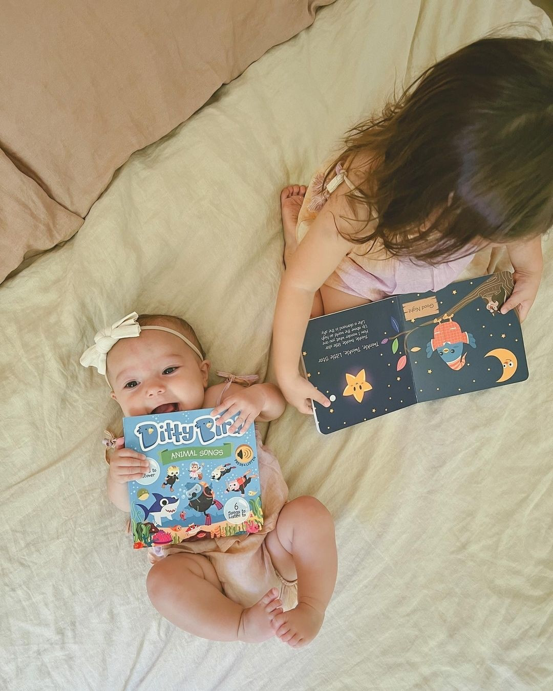 Ditty Bird Book:Animal songs incl.Baby Shark- BESTSELLER