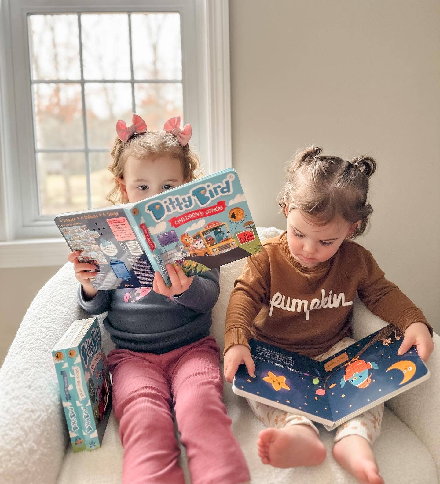 Ditty Bird Sound Book: Children’s Songs Ages 1–3 –BESTSELLER