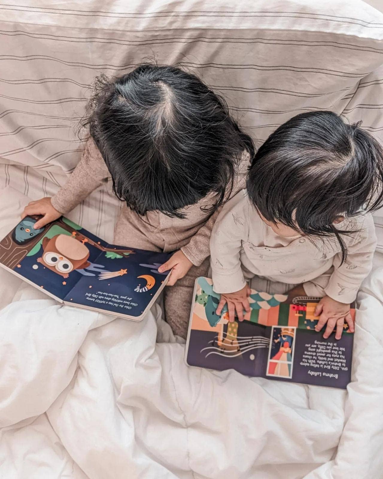 Ditty Bird First Sensory Book Montessori Method Cute Animals