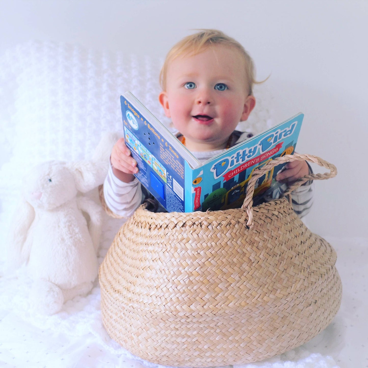 Ditty Bird Sound Book: Children’s Songs Ages 1–3 –BESTSELLER