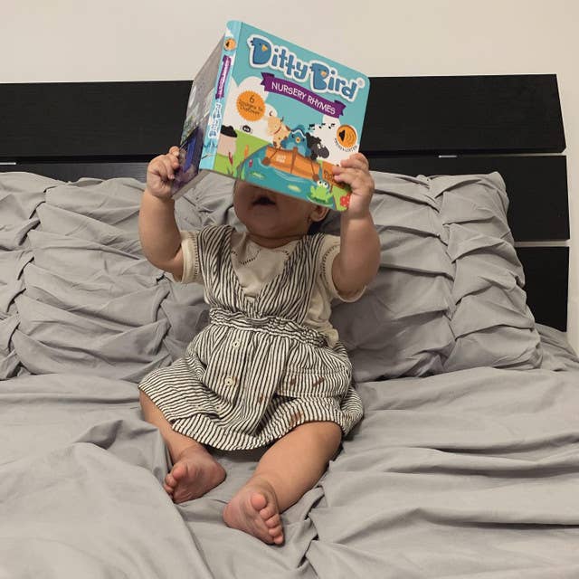 Ditty Bird Sound Book:Fun Nursery Rhymes for Kids BESTSELLER (Copy)