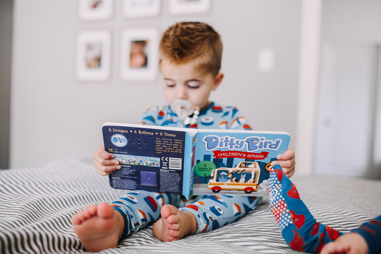 Ditty Bird Sound Book: Children’s Songs Ages 1–3 –BESTSELLER