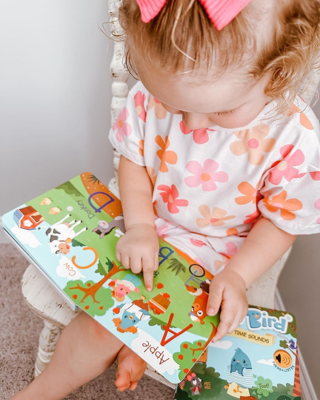 Fun Alphabet | ABC Song | Ditty Bird Baby Sound Book