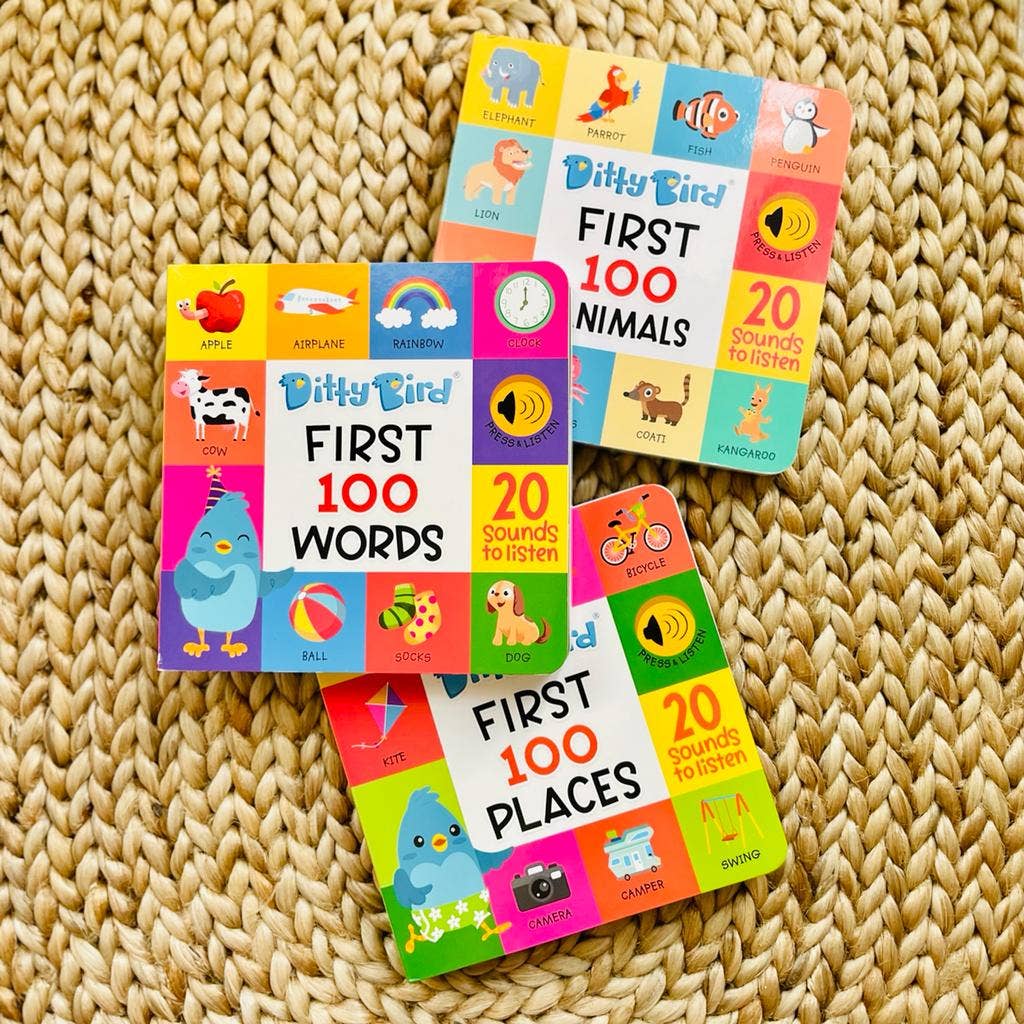 Ditty Bird Baby Sound Vocabulary Book: First 100 Places