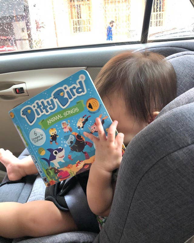 Ditty Bird Book:Animal songs incl.Baby Shark- BESTSELLER