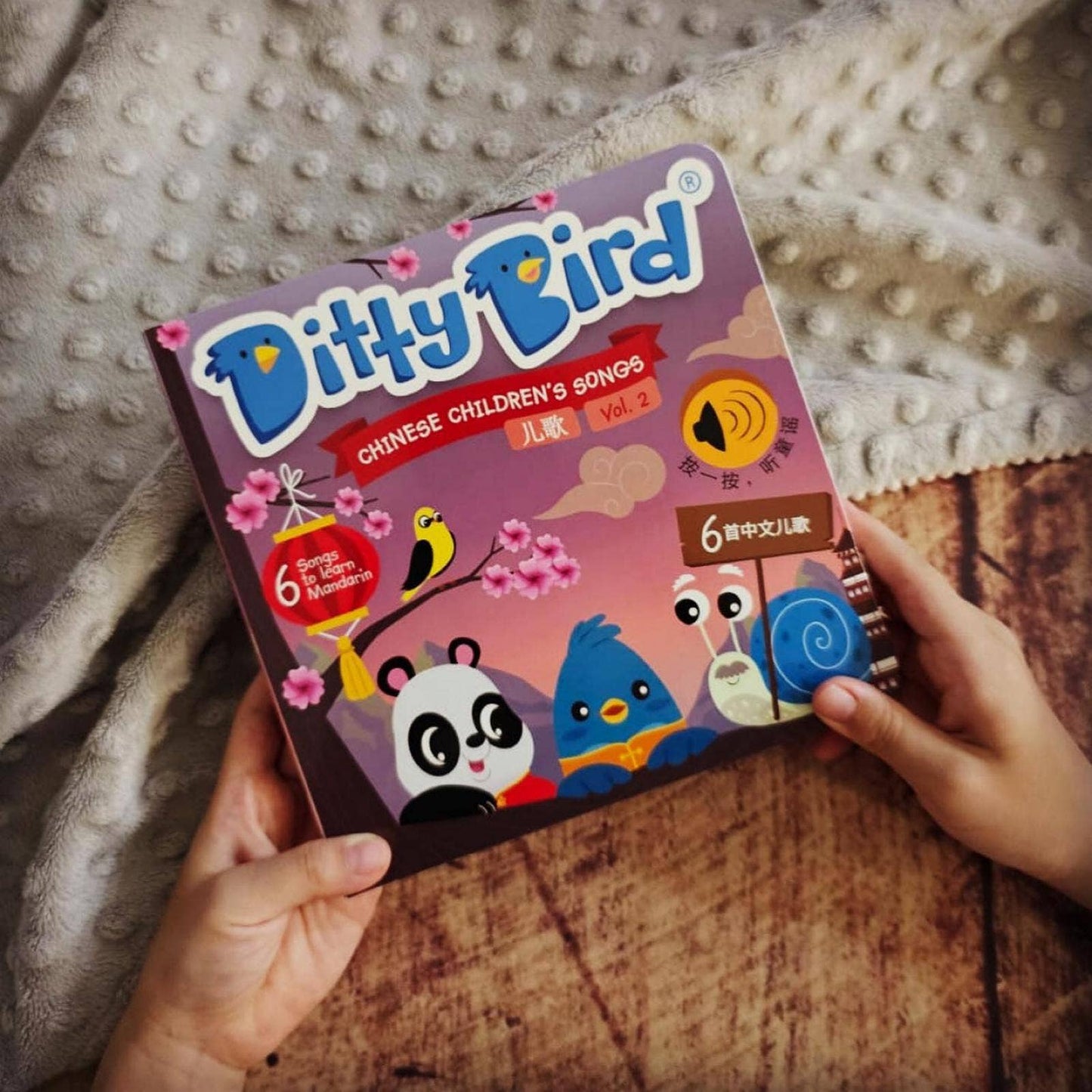 Ditty Bird Sound Book for Learning Chinese Kid's Songs 2 儿歌