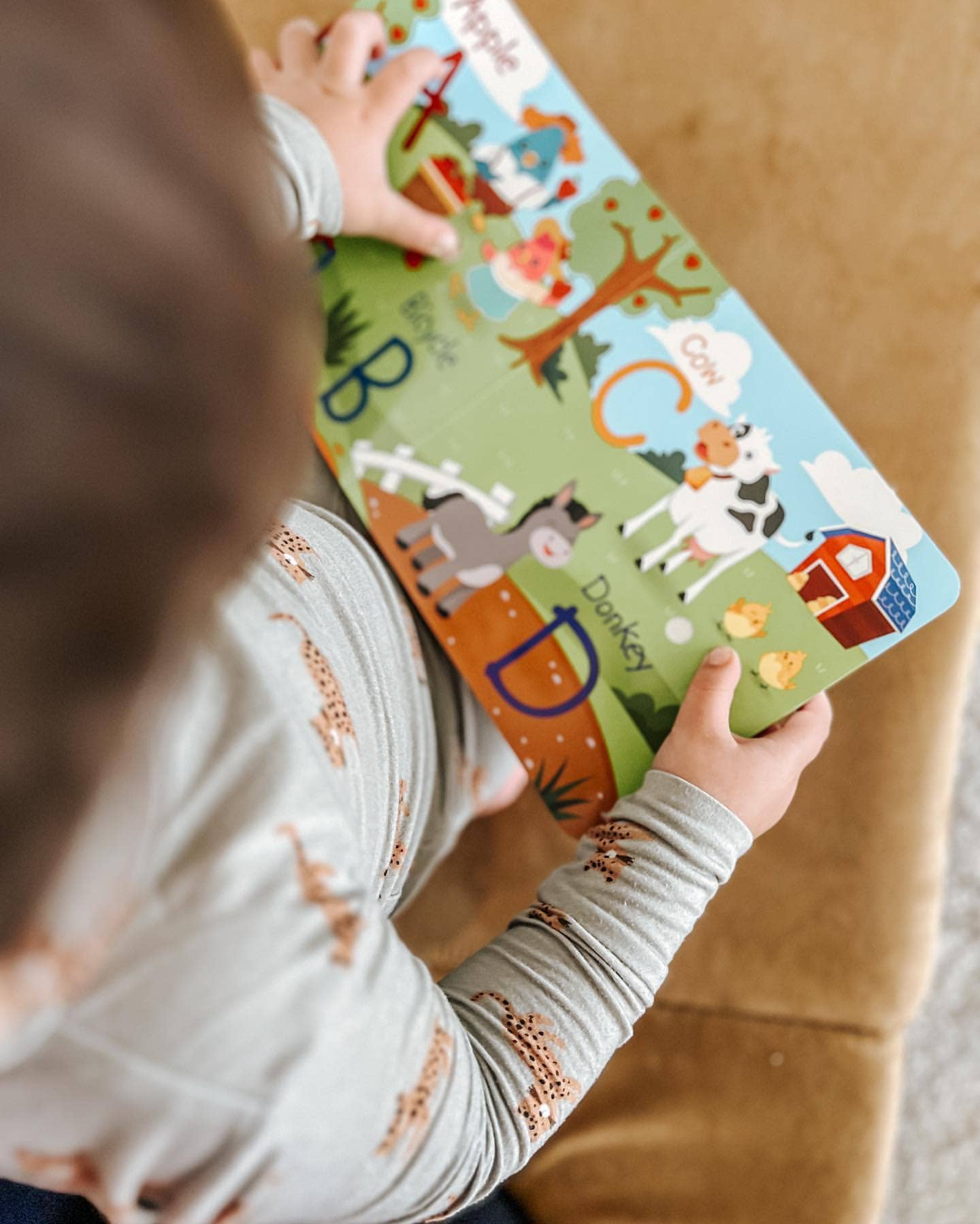 Fun Alphabet | ABC Song | Ditty Bird Baby Sound Book